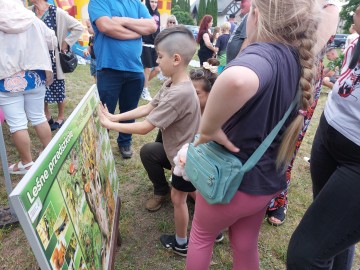Relacja z Pikniku w Puszczy Mariańskiej „Święto Rodziny” , 